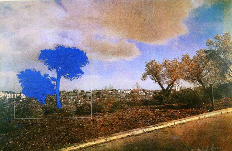 Landscape and Nature: Contemporary Israeli Prints from the Collection of The Israel Museum, Jerusalem
